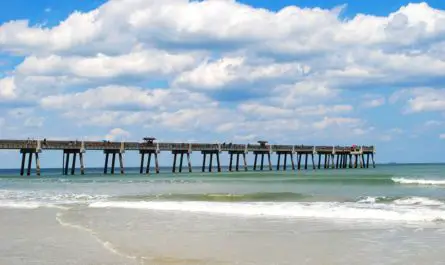 Best Things to Do in Jacksonville Beach
