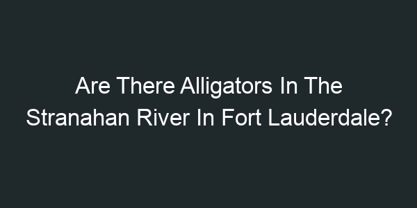Are There Alligators In The Stranahan River In Fort Lauderdale?