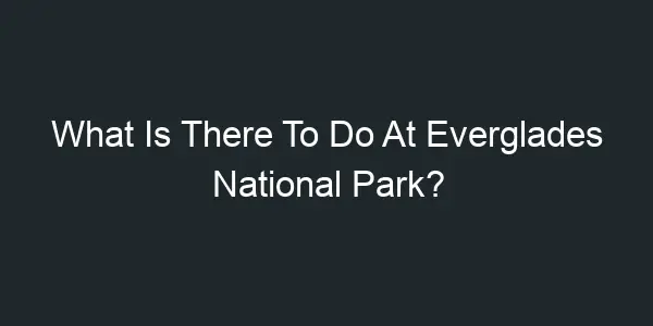 What Is There To Do At Everglades National Park?